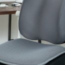 허리나 연구소 이미지