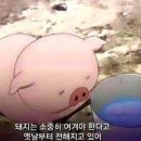 이건치과기공소 네이버블로그