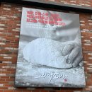 서플러스 SURPLUS 이미지