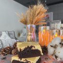 더이로움 이미지