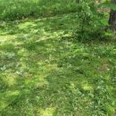 전호농장 이미지