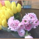 사람이 꽃보다 아름 이미지