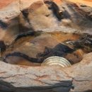 양서·파충류생태공원 2층 이미지