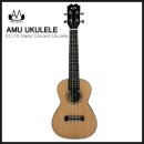 배우기 쉬운 우쿨렐레 이미지