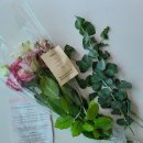 송은농장 이미지