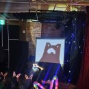 본유치원 | 유치원 행사 준비의 모든 고민, 직접 겪어본 유치원 공연 후기와 현실적인 조언