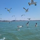 전곡항 클럽하우스 2층 | 전곡항 해적선배낚시요트케이블카 꿀팁 아이와가볼만한곳 가격후기