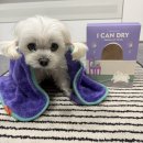 아띠펫 | 강아지 목욕타올 추천 도그아띠 수건 강아지 펫타올