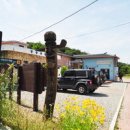 우포의 숲속 이미지