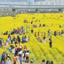 낙동강관리본부 대저생태공원 4 이미지