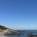 울산 어업인식당 후기 전현무계획 동구 방어진 아침식사 되는곳 미주구리회 슬도 울산 가볼만한곳 맛집