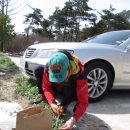 광시초등학교 이미지