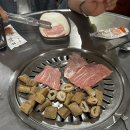 이지비야 이미지