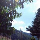 평창수림대펜션 이미지