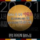 팀 보노 이미지