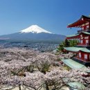 벚꽃화장실 이미지