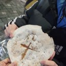 홍루이젠대흥역점 | 댕흥역 동네빵집 미인브레드 쌀 첨가 수제빵 가성비 빵가게