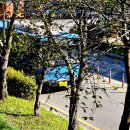 통정3리마을회관 | 2023.10.02. 월요일(Mon day)·[대체공휴일]... 충청남도 당진시, 아산시, 예산군 대중교통 버스 출사...