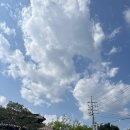 토방 | [양평/서종면/토방] 양평 곤드레돌솥밥 토방 솔직 후기