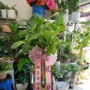 해오름 건축사사무소 이미지