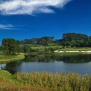 스카이골프 이미지