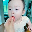 팜앤팜스토리 | 돌전아기 간식, 떡뻥이 지겨울땐 영양간식 단호박과자 먹이려구요