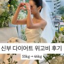 지세븐유통 | 신부 다이어트 위고비 3개월 찐후기 (55→46kg) 보통에서 마름