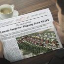 송화타운 이미지