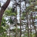 고려패밀리민박 이미지