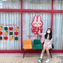 토키키 이미지