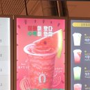 땡땡모