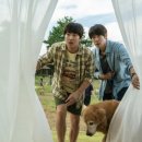 멍뭉이 미용실 이미지