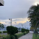 해피빌라 | 나트랑 프리미어 디럭스 트윈 빌라 정원 전망 후기 / 다이소 샤워기 필터 / 해피아워 / 프라이빗 비치