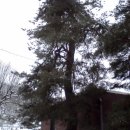 해피데이 이미지