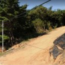 물천1리 이미지