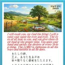 오늘의 양식
