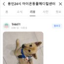 백암동물병원 이미지