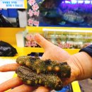 대영수산 이미지