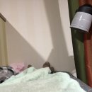 베라타오 이미지