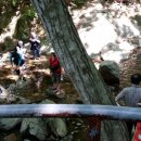 솔내음산촌마을 이미지