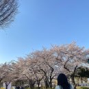 저미지네일