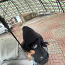 소영씨네집 이미지