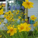 송계민박 이미지
