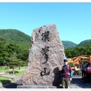 한라산 선작지왓 이미지