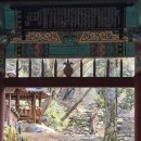 옥천사 | 작지만 아담하고 의외로 방문객이 많은 옥천사 방문후기