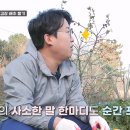 섬마을낙지 이미지