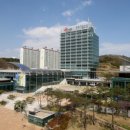 세무법인영남 이미지