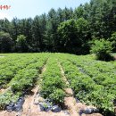 단운재사 이미지