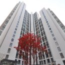 한숲중학교 이미지