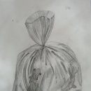 물과물고기 이미지